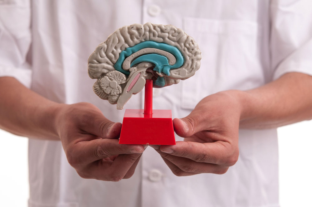Neurologia